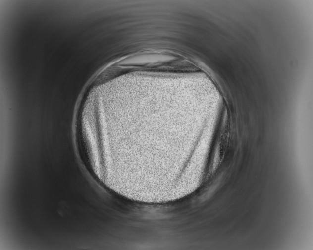 X0000087560803200705251759