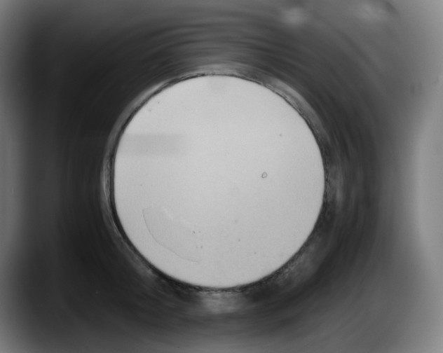 X0000087560804200705251759