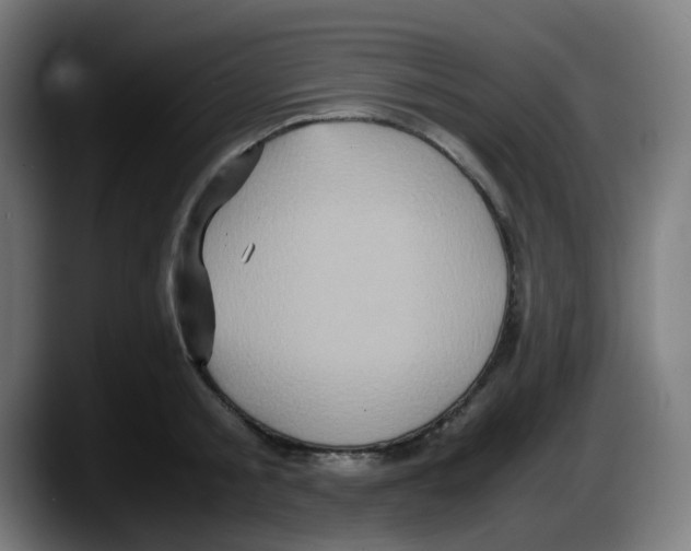 X0000087560805200705251759