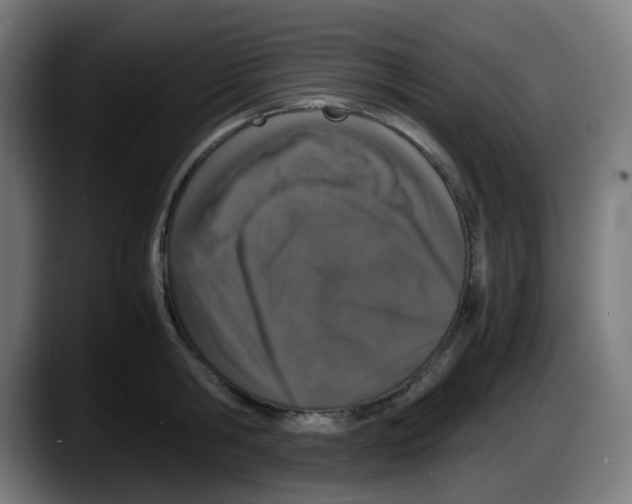 X0000087560806200705251759