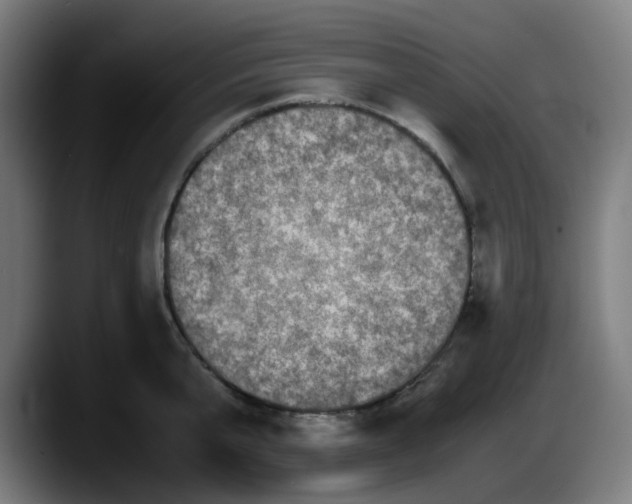 X0000087560807200705251759