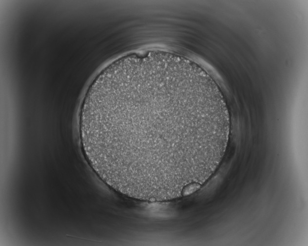 X0000087560808200705251759