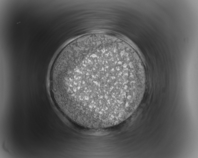X0000087560811200705251759