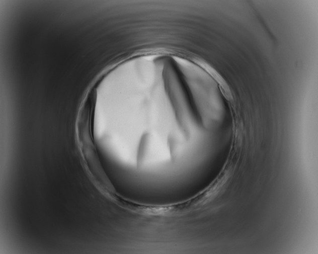 X0000087560813200705251759