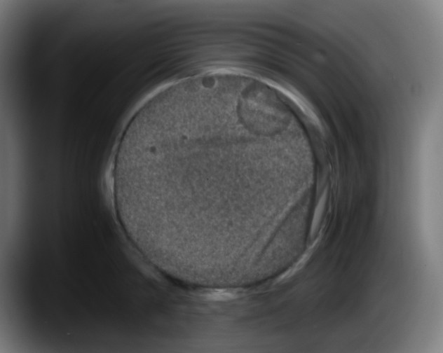 X0000087560814200705251759