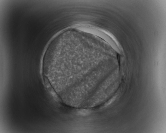 X0000087560815200705251759