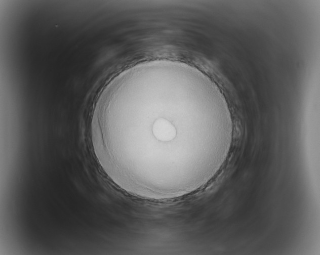 X0000087560820200705251758