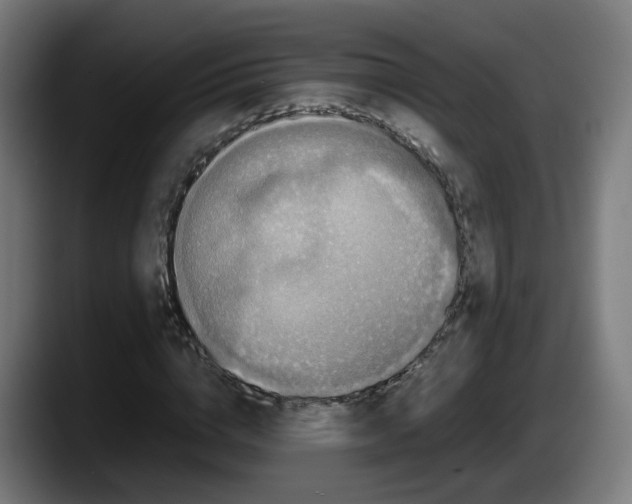 X0000087560824200705251758