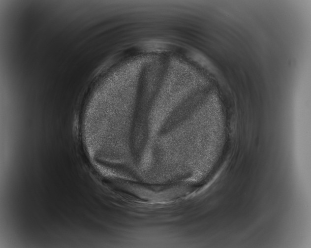 X0000087560825200705251758