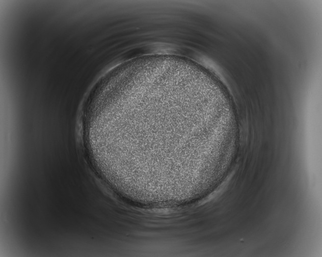 X0000087560827200705251758