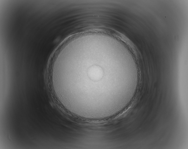 X0000087560828200705251758