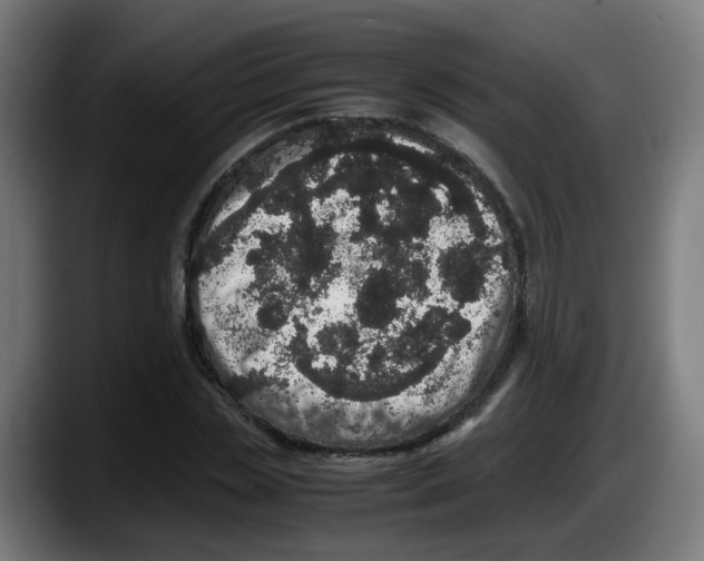 X0000087560829200705251758