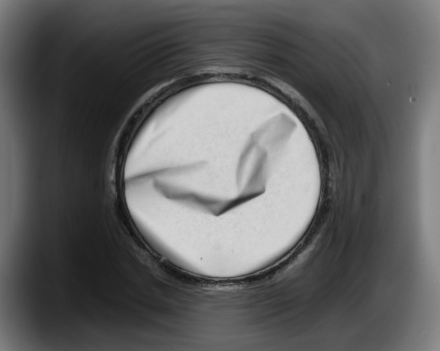 X0000087560830200705251758