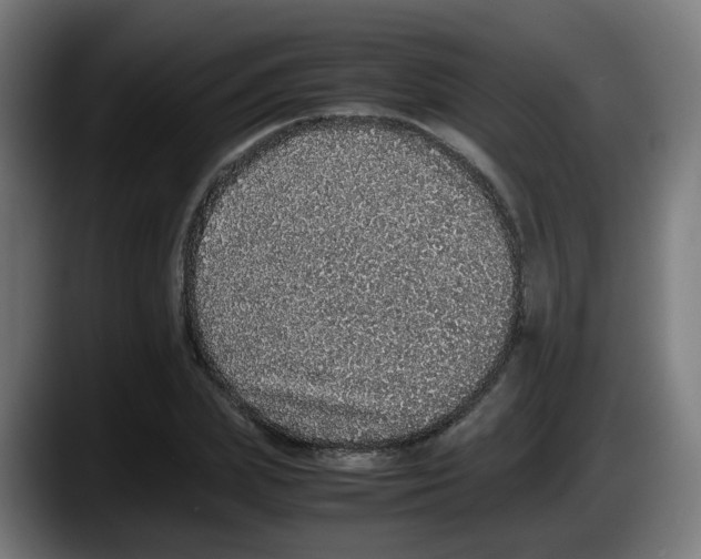 X0000087560831200705251758