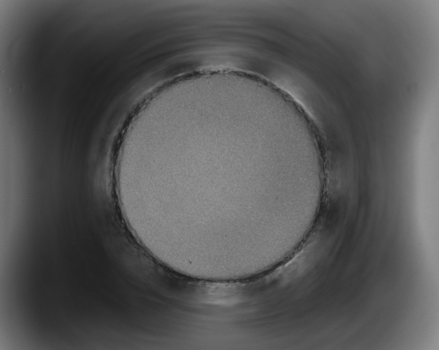X0000087560832200705251758