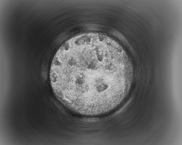 X0000087560833200705251758