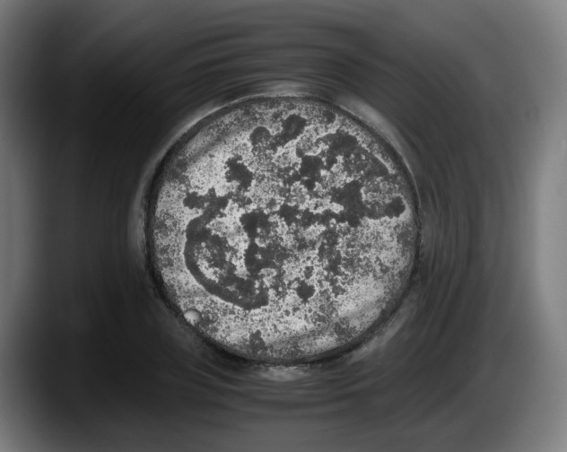 X0000087560835200705251758