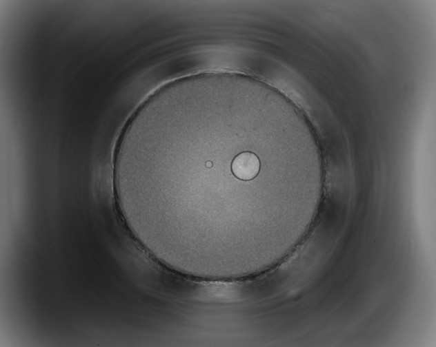 X0000087560836200705251758