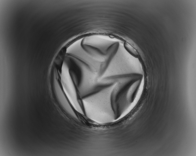 X0000087560838200705251758