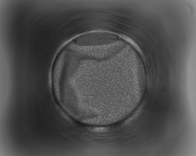 X0000087560839200705251758