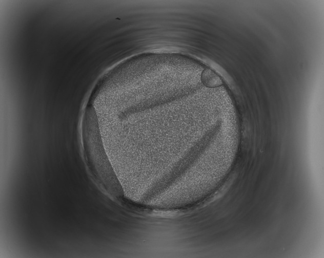 X0000087560840200705251758