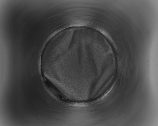 X0000087560842200705251758