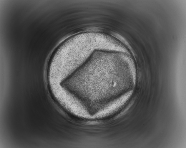 X0000087560843200705251758