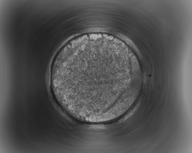X0000087560844200705251758