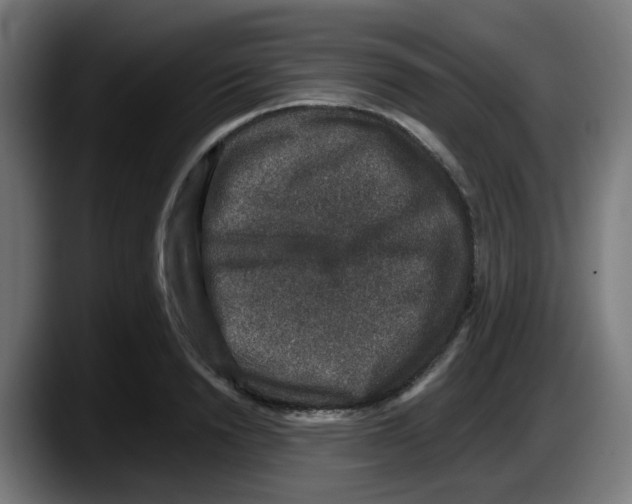 X0000087560846200705251758