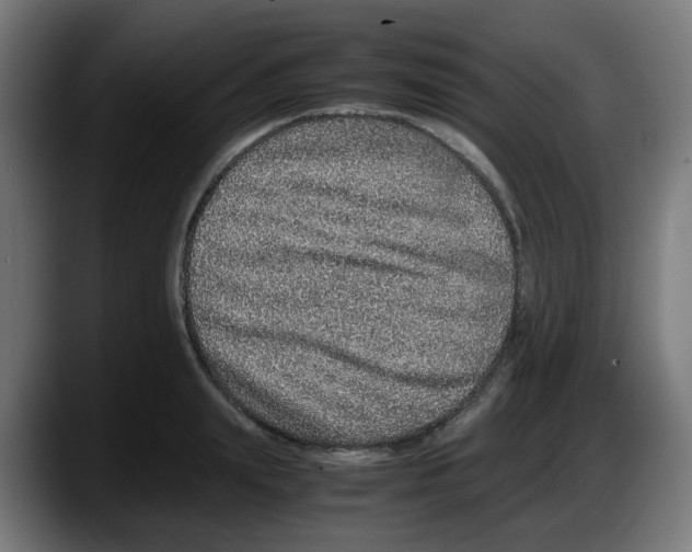X0000087560847200705251758