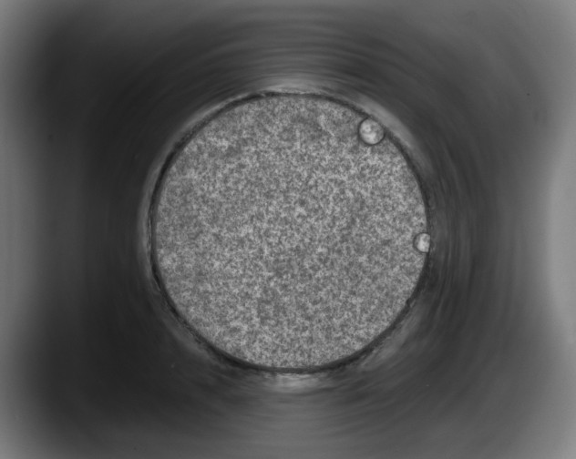 X0000087560848200705251758