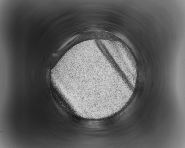 X0000087560849200705251758