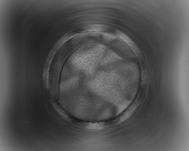 X0000087560850200705251759