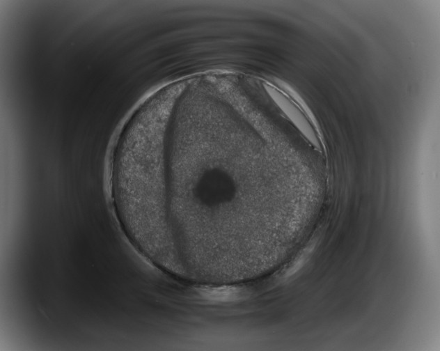 X0000087560851200705251759