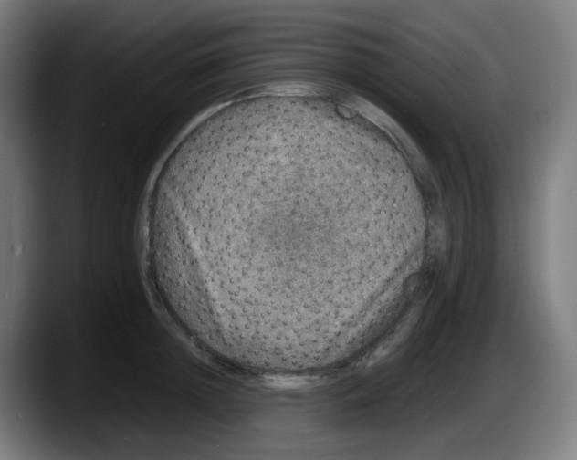 X0000087560852200705251759