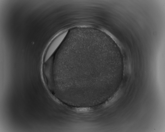 X0000087560853200705251759
