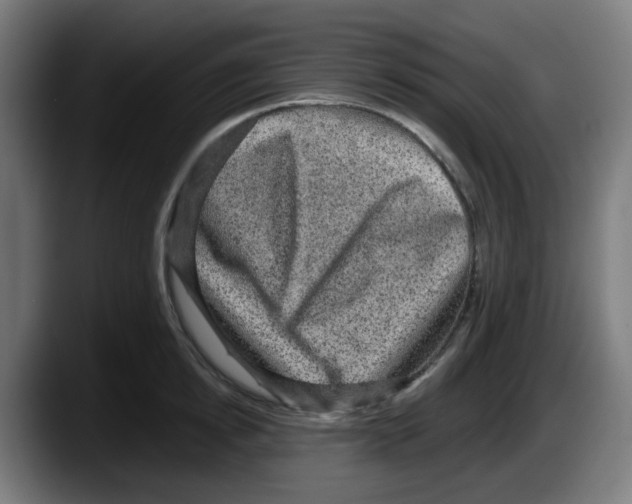 X0000087560854200705251759