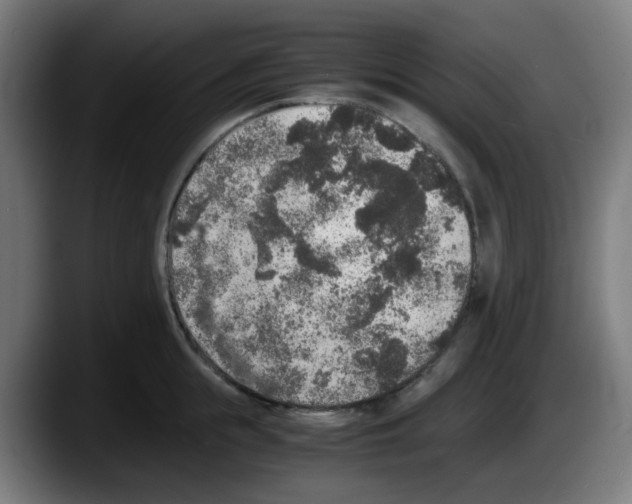 X0000087560855200705251759