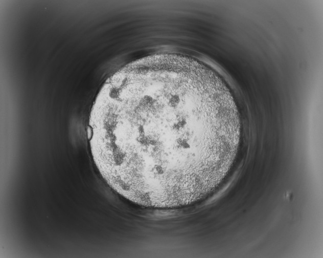 X0000087560857200705251759