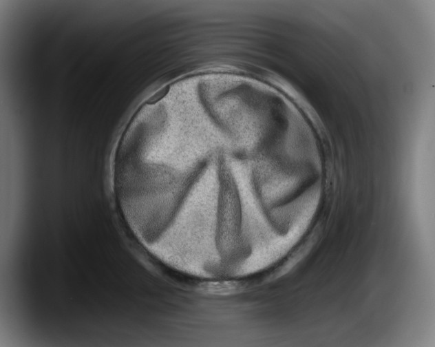 X0000087560858200705251759