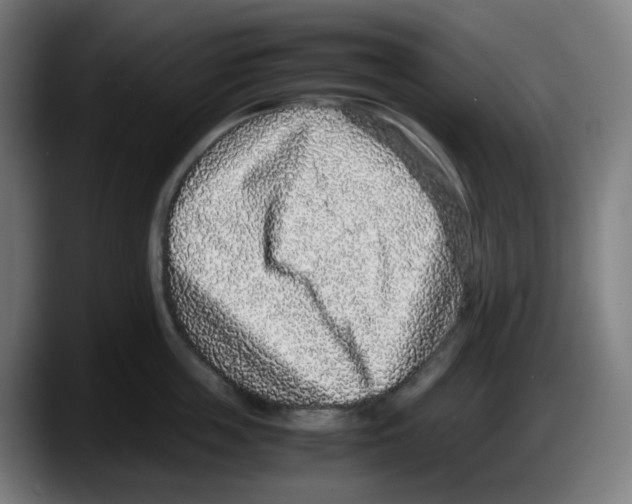 X0000087560859200705251759