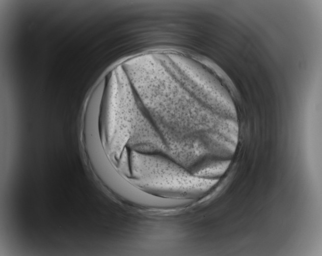 X0000087560860200705251759