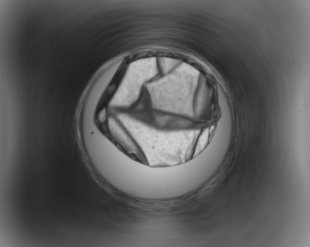 X0000087560862200705251759