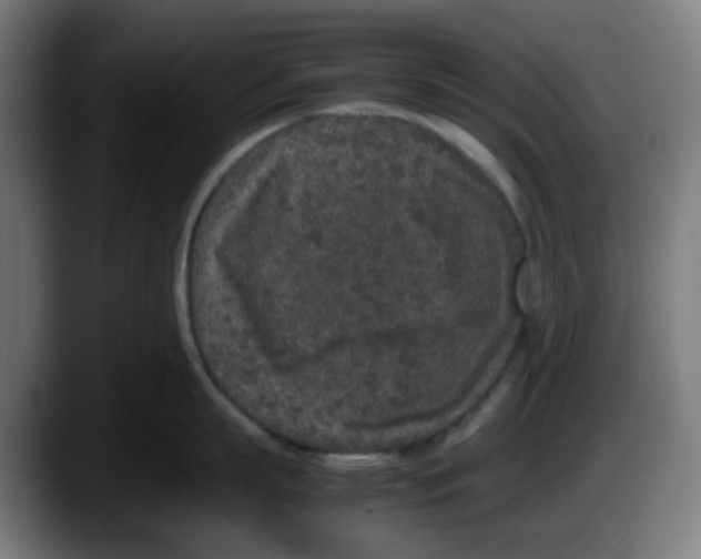 X0000087560863200705251759