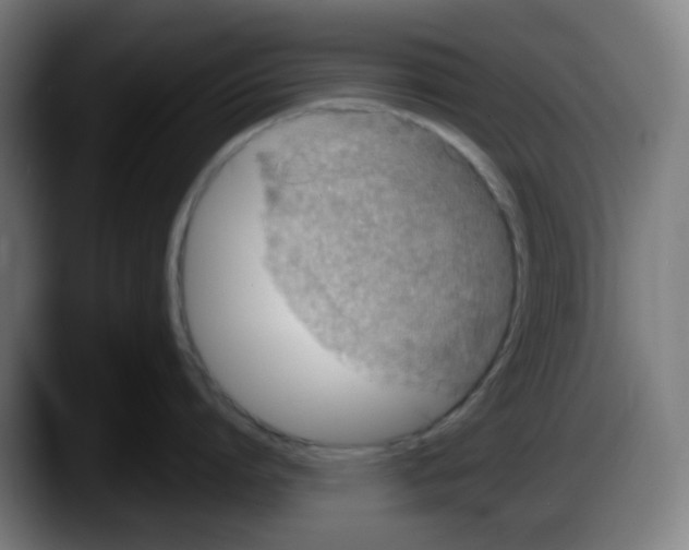 X0000087560864200705251759