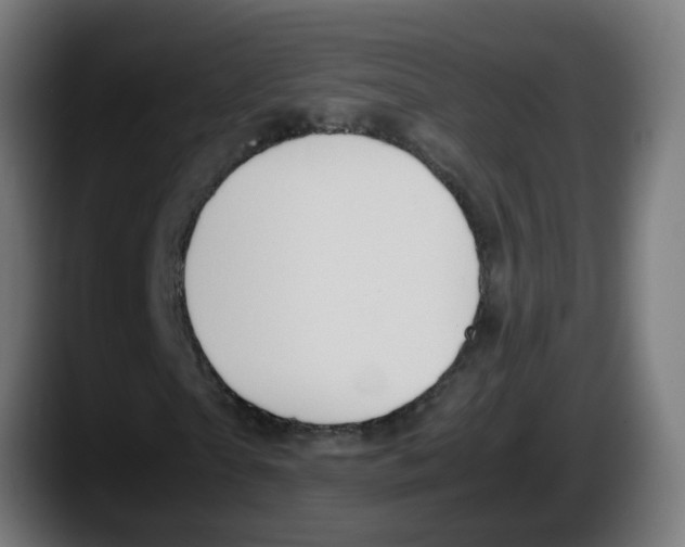 X0000087560865200705251758