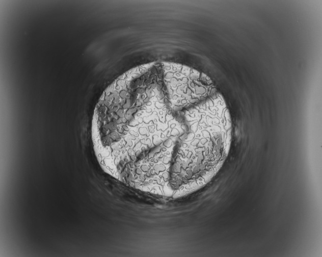X0000087560867200705251758