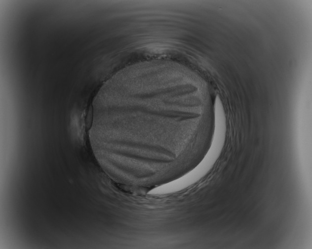 X0000087560868200705251758