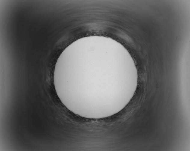 X0000087560869200705251758