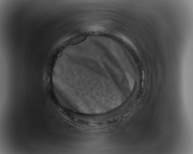 X0000087560872200705251758